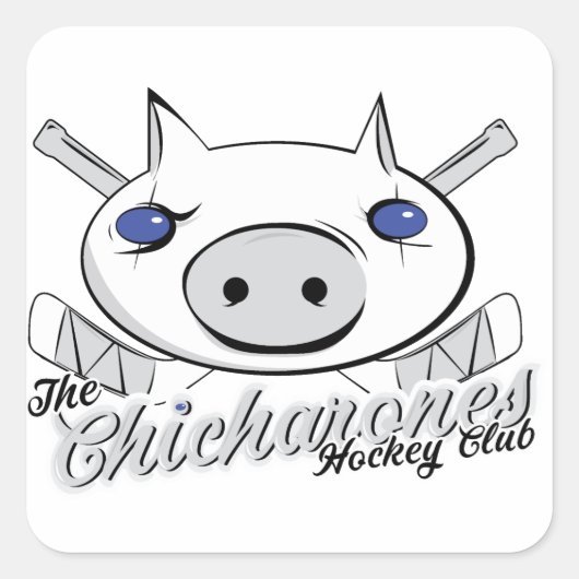 2013年のヒカロン スクエアシール (正面)