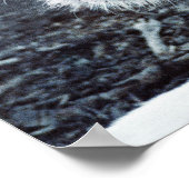 2013年のホワイトタイガー ポスター (角)