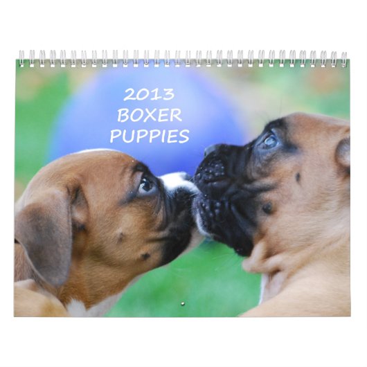 2013年のボクサーの子犬のカレンダー カレンダー (カバー)