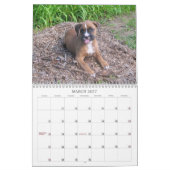 2013年のボクサーの子犬のカレンダー カレンダー (3月 2027)