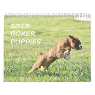 2013年のボクサーの子犬のカレンダー カレンダー