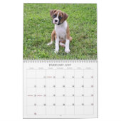 2013年のボクサーの子犬のカレンダー カレンダー (2月 2027)