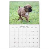 2013年のボクサーの子犬のカレンダー カレンダー (1月 2027)