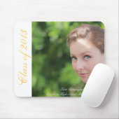 2013年のマウスパッドのクラス マウスパッド (マウス)