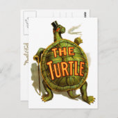 2013年の亀 ポストカード (正面/裏面)