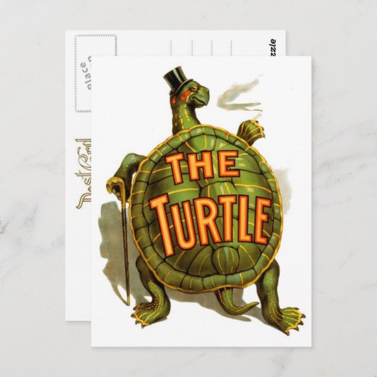 2013年の亀 ポストカード (正面/裏面)