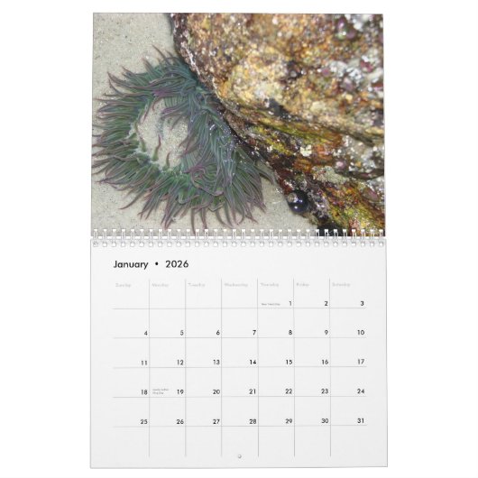 2013年の伝統の写真撮影のカレンダー カレンダー (1月 2026)