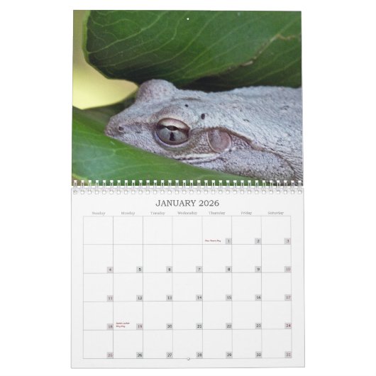 2013年の写真のカレンダー カレンダー (1月 2026)