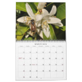 2013年の写真撮影のカレンダー カレンダー (3月 2026)