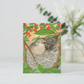 2013年の女鳥 ポストカード (スタンド正面)