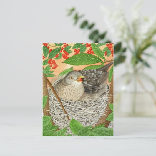 2013年の女鳥 ポストカード (スタンド正面)