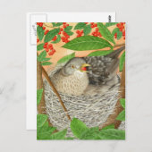 2013年の女鳥 ポストカード (正面/裏面)