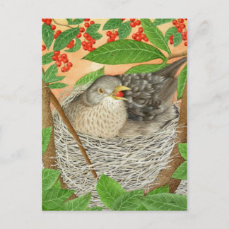 2013年の女鳥 ポストカード