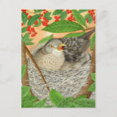 2013年の女鳥 ポストカード (正面)