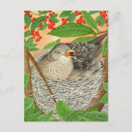 2013年の女鳥 ポストカード