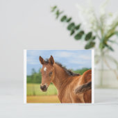 2013年の娘 ポストカード (スタンド正面)