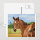 2013年の娘 ポストカード (正面/裏面)