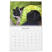 2013年の家族はカレンダーの後をつけます カレンダー (3月 2026)