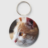 2013年の猫ちゃん キーホルダー (正面)