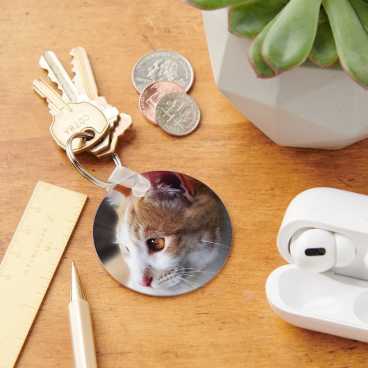 2013年の猫ちゃん キーホルダー (デスク)