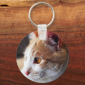 2013年の猫ちゃん キーホルダー (正面)