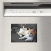 2013年の猫ちゃん マグネット (インサイチュ (食洗機))