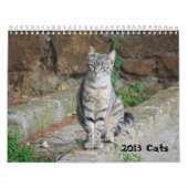 2013年の猫のカレンダー カレンダー (カバー)