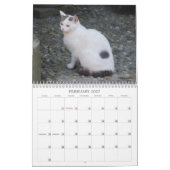 2013年の猫のカレンダー カレンダー (2月 2027)