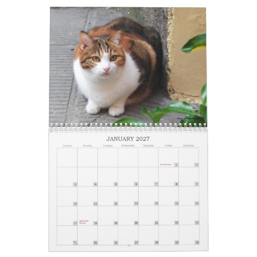 2013年の猫のカレンダー カレンダー (1月 2027)