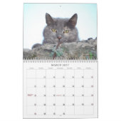 2013年の猫のカレンダー カレンダー (3月 2027)