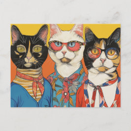2013年の猫レディース ポストカード