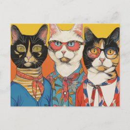2013年の猫レディース ポストカード