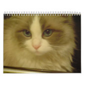 2013年の秒読みのカレンダー カレンダー (カバー)