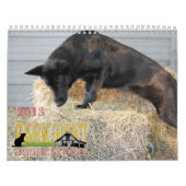 2013年の納屋の狩りのAssocのカレンダー カレンダー (カバー)