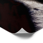 2013年の脳戦 ポスター (角)