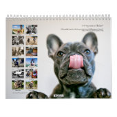 2013年の鶏のカレンダー カレンダー (裏面)