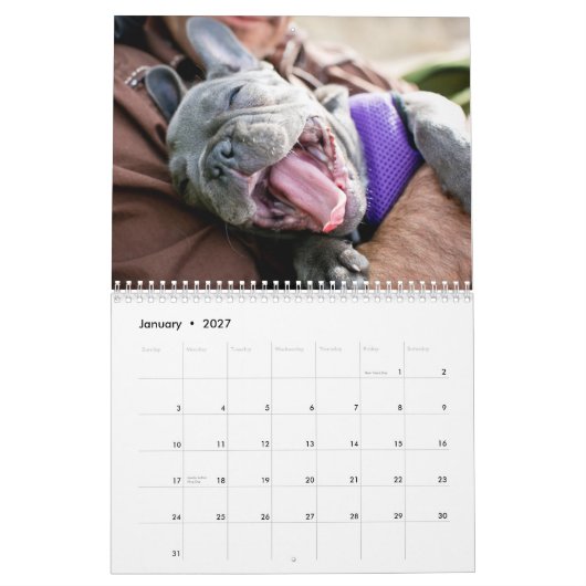 2013年の鶏のカレンダー カレンダー (1月 2027)