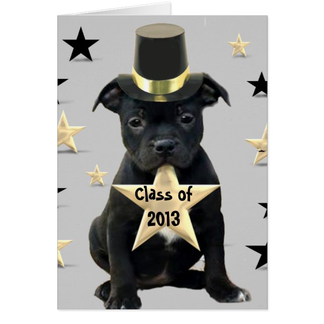 2013年の（犬）スタッフォードのブルテリアカードのクラス (正面)