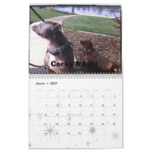 2013年のLexi及び友人犬のカレンダー カレンダー (3月 2027)