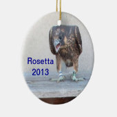 2013年のRosettaのオーナメント セラミックオーナメント (右)