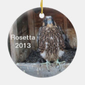2013年のRosettaのオーナメント セラミックオーナメント (裏面)