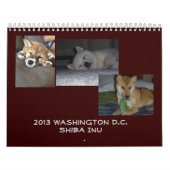 2013年のWashington D.C.の柴犬 カレンダー (カバー)