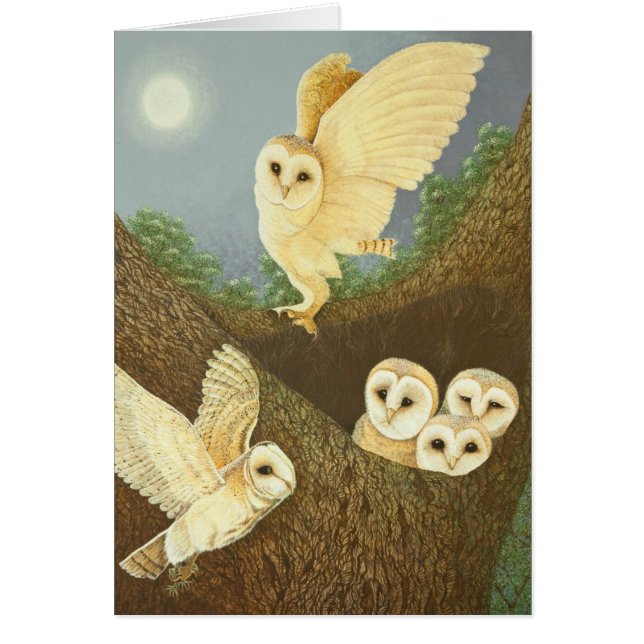 2013年を見、待っています (正面)