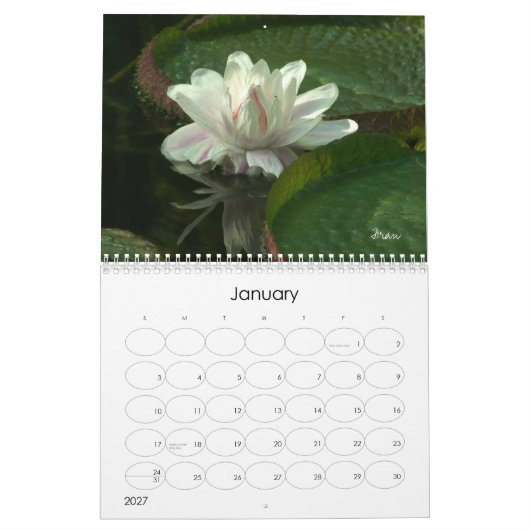 2013年を輝かせる カレンダー (1月 2027)