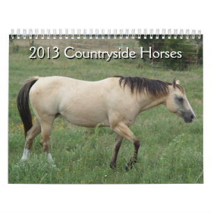 2013年カレンダーの田舎の馬 カレンダー