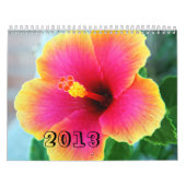 2013年カレンダー カレンダー (カバー)