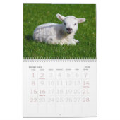 2013年カレンダー カレンダー (2月 2026)