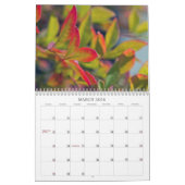 2013年フォトカレンダー カレンダー (3月 2026)