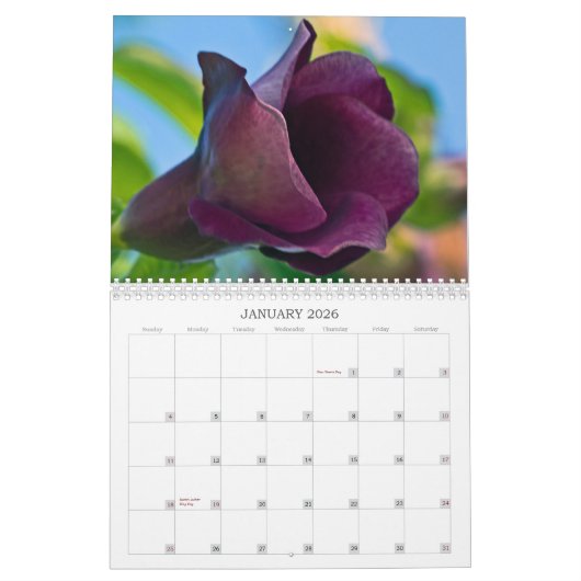 2013年フォトカレンダー カレンダー (1月 2026)