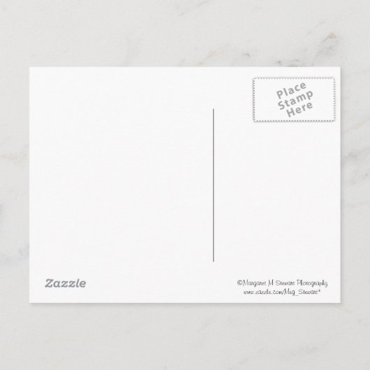 2013年ブルーキャップ王室の卒業はがきのクラス 案内ポストカード (裏面)